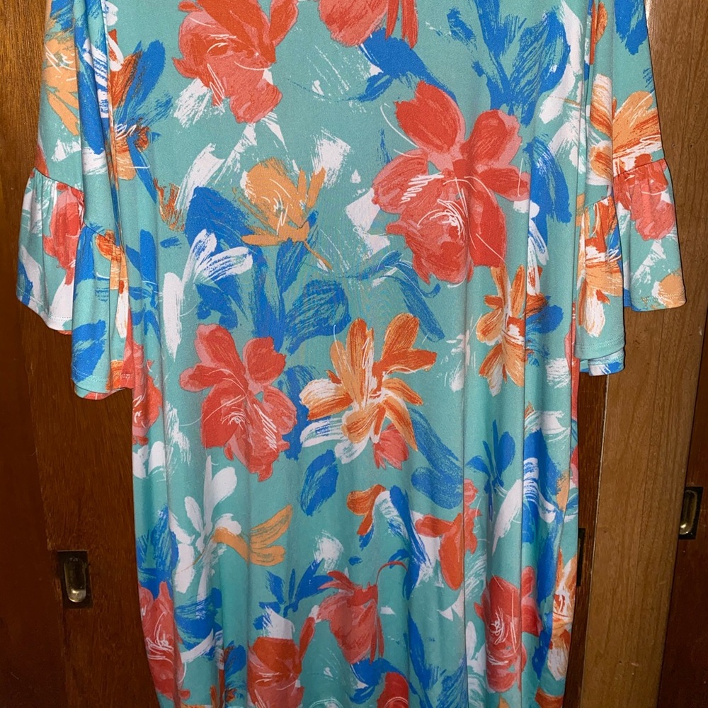 Very nice dress! Worn once, smoke/pet free home